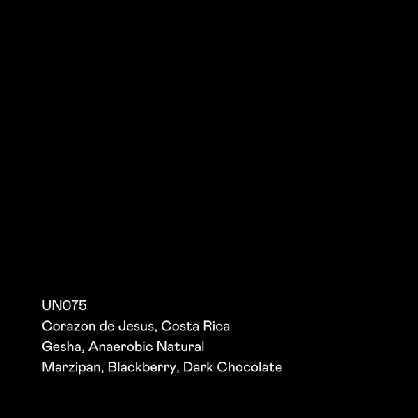 UN075 - Corazon de Jesus, Gesha Anaerobic Natural