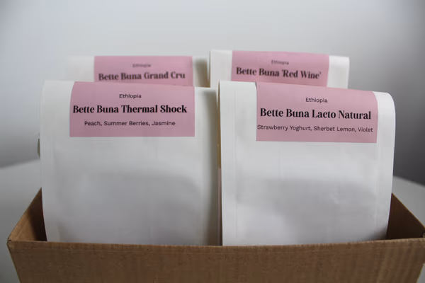 Ethiopia Bette Buna 'Process' Taster Pack