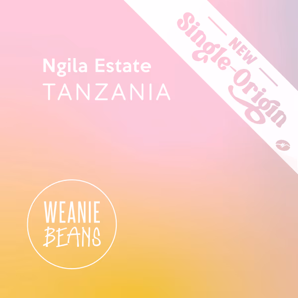Tanzania, Ngila Estate