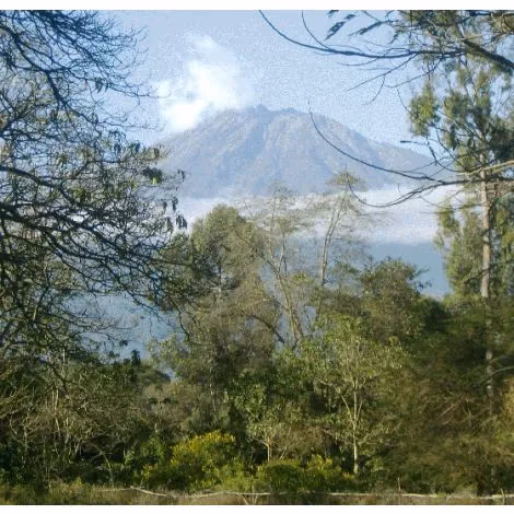 TANZANIA (Arusha)