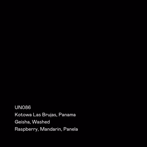 UN086 - Kotowa Las Brujas, Geisha Washed