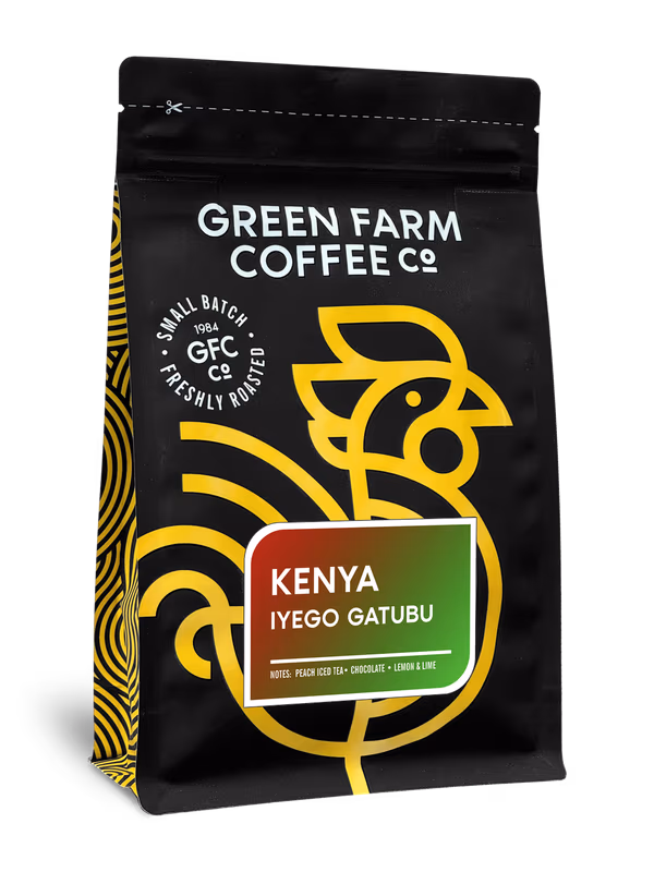 Kenya Iyego Gatubu