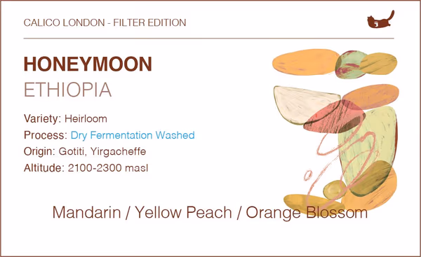 Ethiopia Gotiti Honey Moon - Dry Fermentation Washed