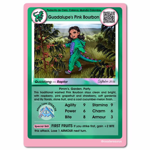 Guadalupe's Pink Bourbon, Pedacito De Cielo, Colombia- 225g