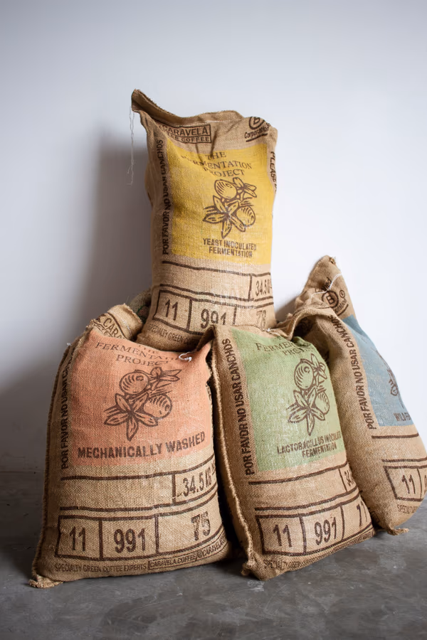 Guatemala | The Fermentation Project  | For Cupping and Filter Brewing