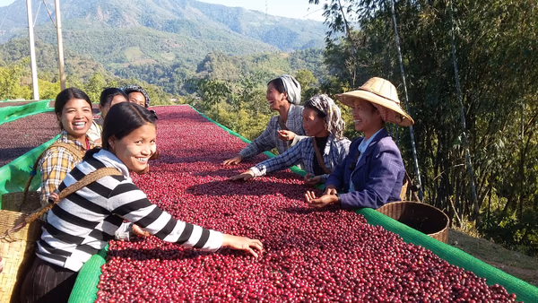 Myanmar Green Land Natural