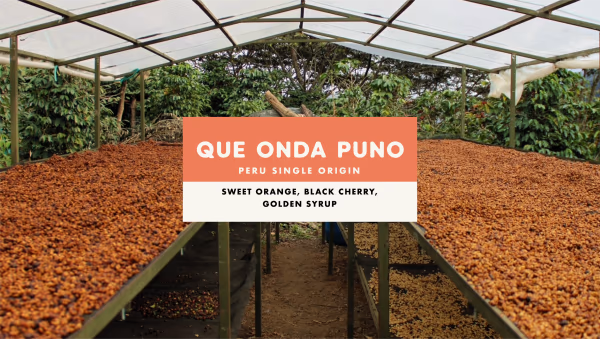 Que Onda Puno