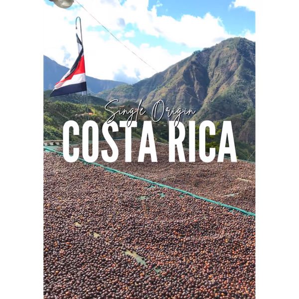 Costa Rica - Hermosa