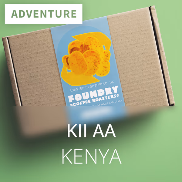 Kii AA - Kenya