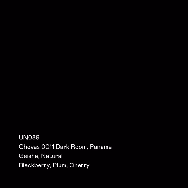 UN089 - Chevas 0011 Dark Room, Geisha Natural