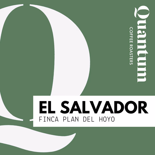 EL SALVADOR - Finca Plan del Hoyo