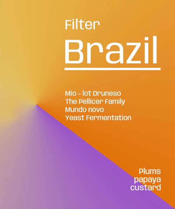 Brazil Fazenda Mio Druneso - Filter