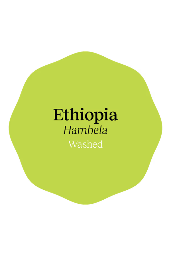 Ethiopia Hambela Washed