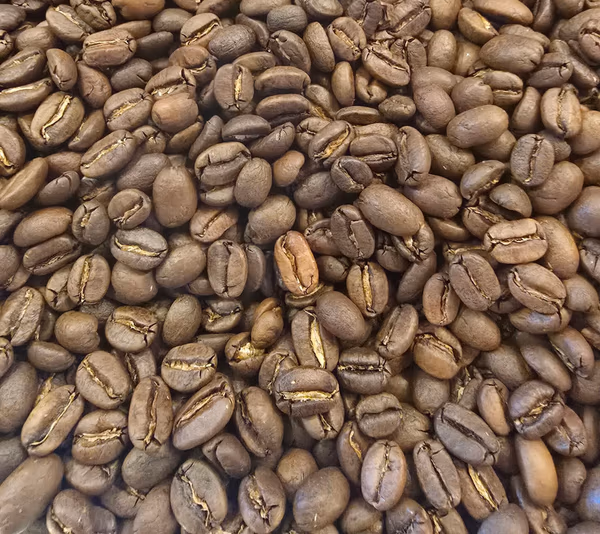 Sulawesi Kalossi Toraja