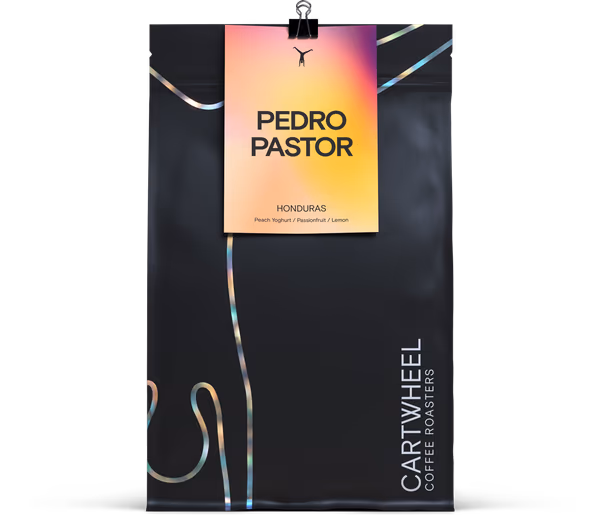 Pedro Pastor