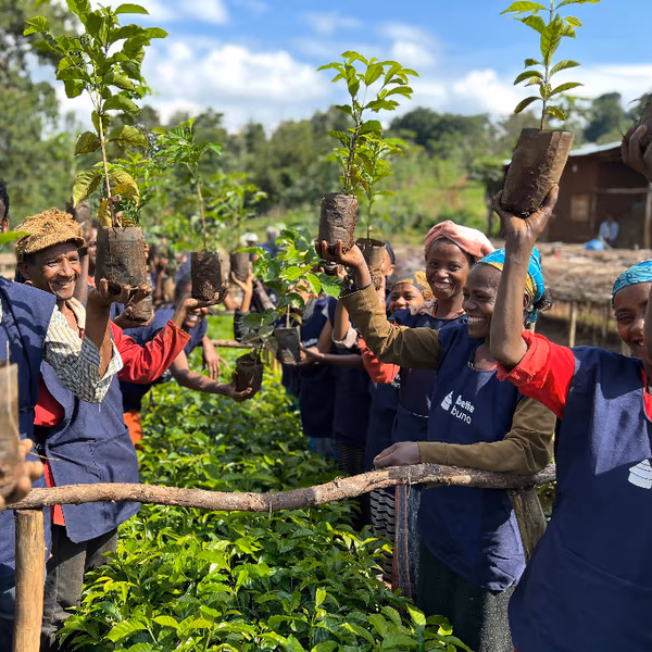 Ethiopia - Taferi Kelu