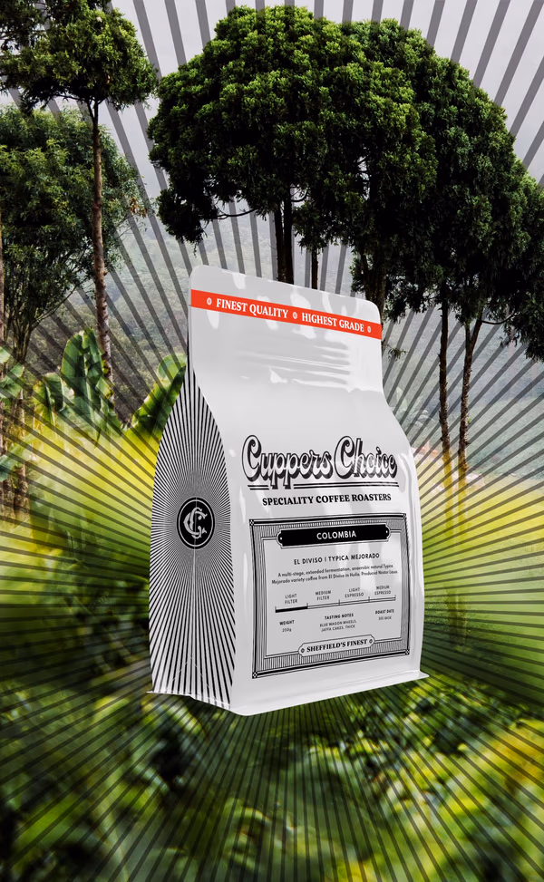 El Diviso | Typica Mejorado | Colombia