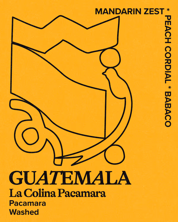 Guatemala | La Colina Pacamara