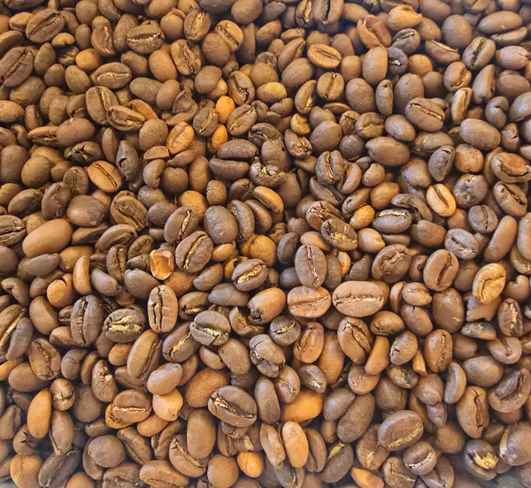 Ethiopia Mocha Djimmah