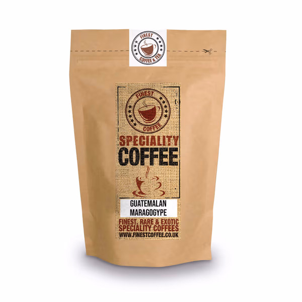 Guatemalan Maragogype Coffee (Elephant Bean)