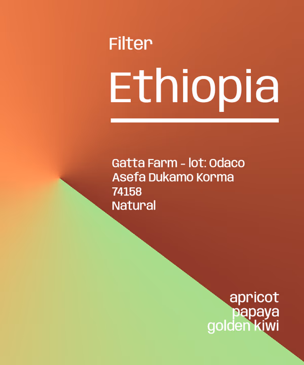 Ethiopia Odaco Natural - Filter