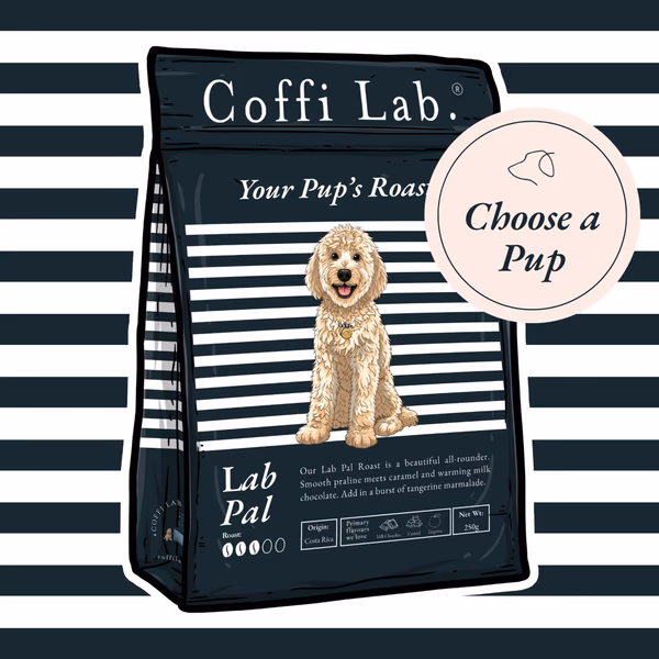 Lab Pal