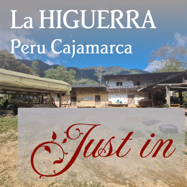 Peru Cajamarca La Higuerra - Organic