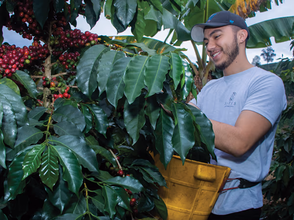 Colombia - * Washed Bourbon Ají * - Brayan Smith