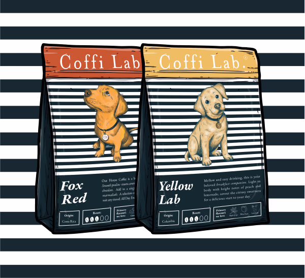 Lab Duo: Light-Medium