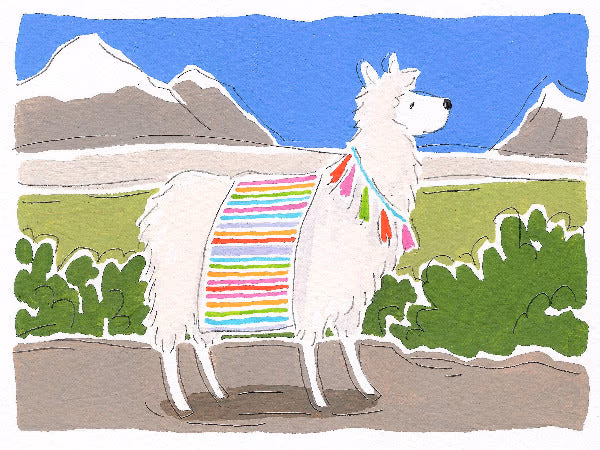 Peruvian Santa Rosa Cajamarca