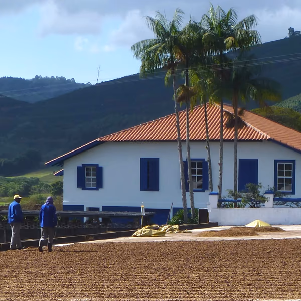 Decaffeinated Brazil Fazenda Recreio Natural