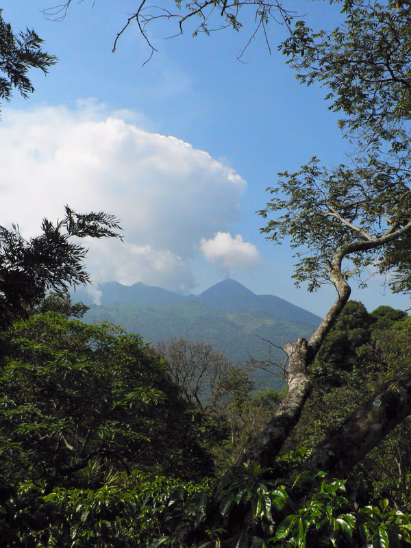 Guatemala Finca El Hato Santa Rosa - 500g