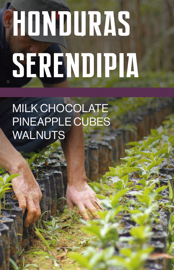 Honduras Serendipia