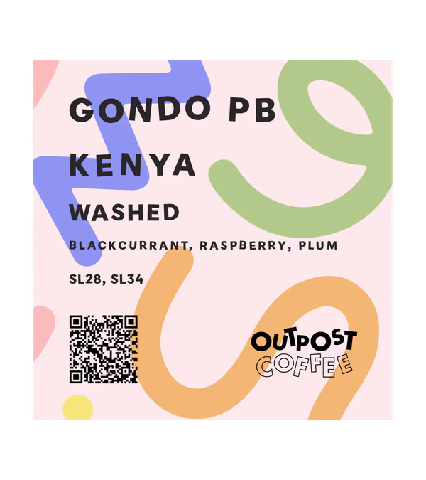 Gondo PB, Washed, Kenya