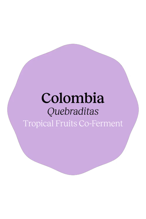 Colombia Quebraditas Tropical Fruits Co-Ferment