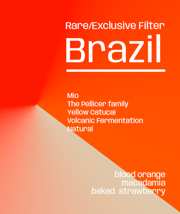 Brazil Fazenda Mio ACIME -  Rare/Exclusive Filter