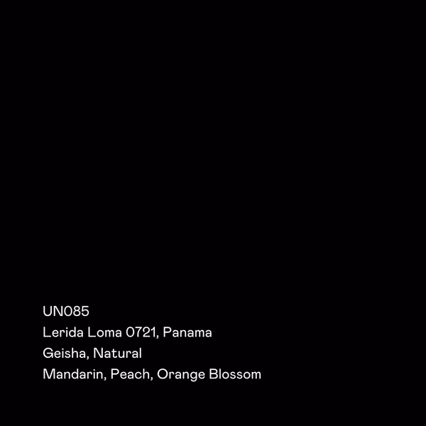 UN085 - Lerida Loma 0721, Geisha Natural