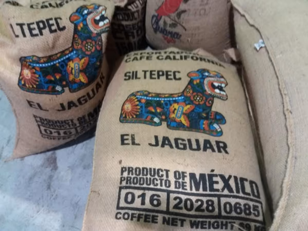 Mexico Siltepec El Jaguar