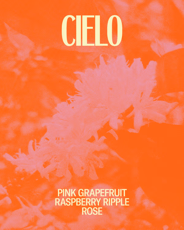 Cielo