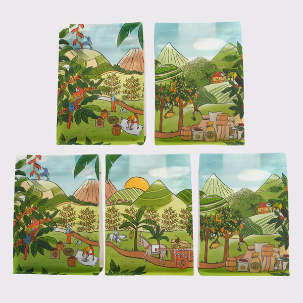 Seasonal 5 Bag Promotion Pack