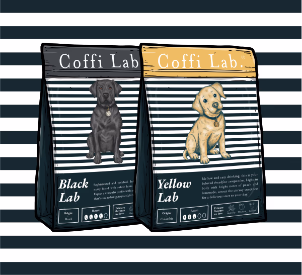 Lab Duo: Light & Dark