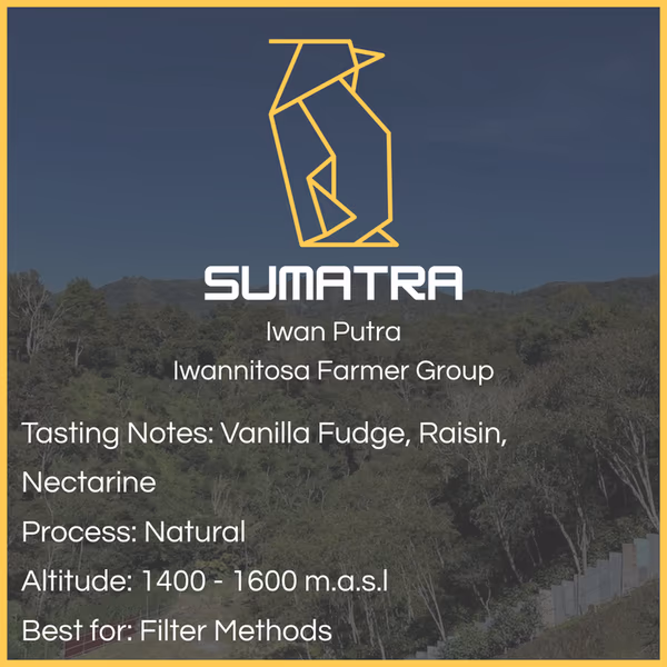 Sumatra - Iwan Putra