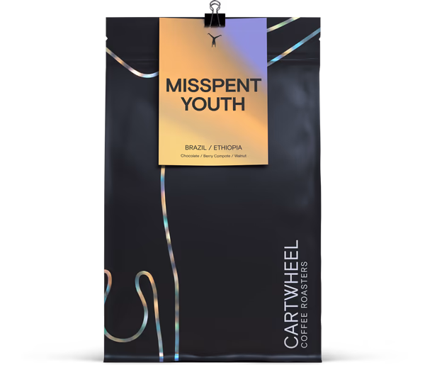 Misspent Youth
