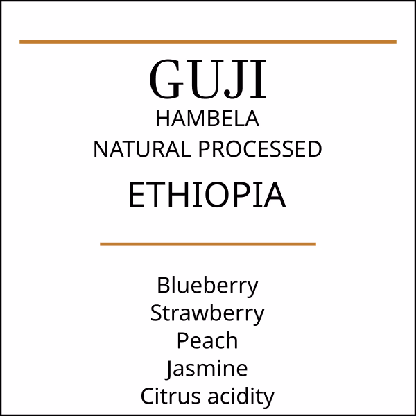 Ethiopia Guji Hambela | Natural Process