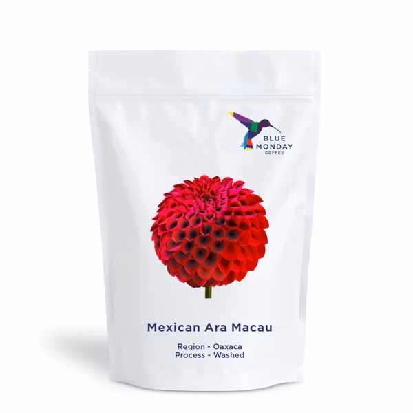 Mexican Ara Macau