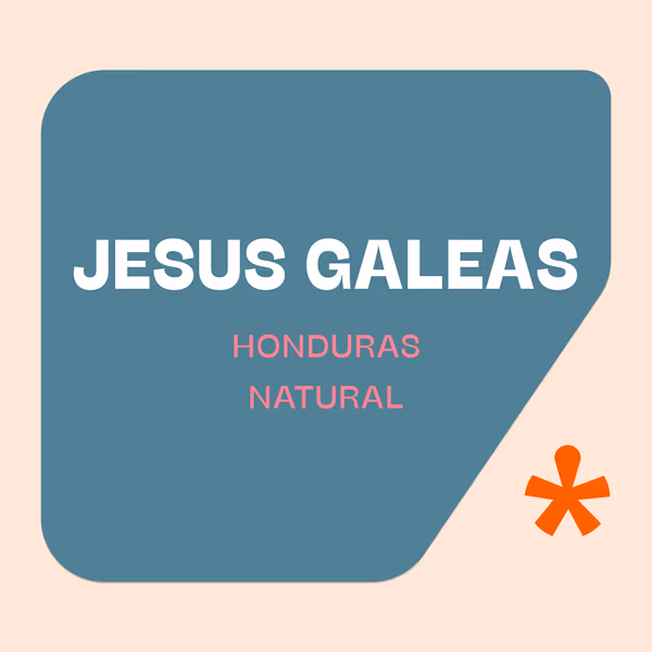 Jesus Galeas