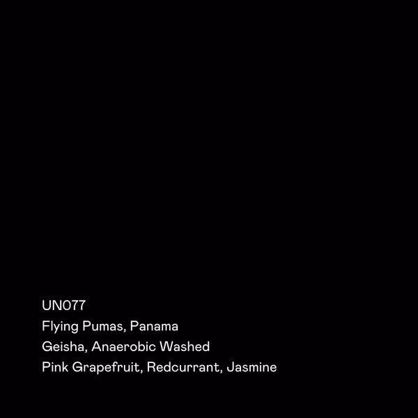 UN077 - Flying Pumas, Anaerobic Washed Geisha