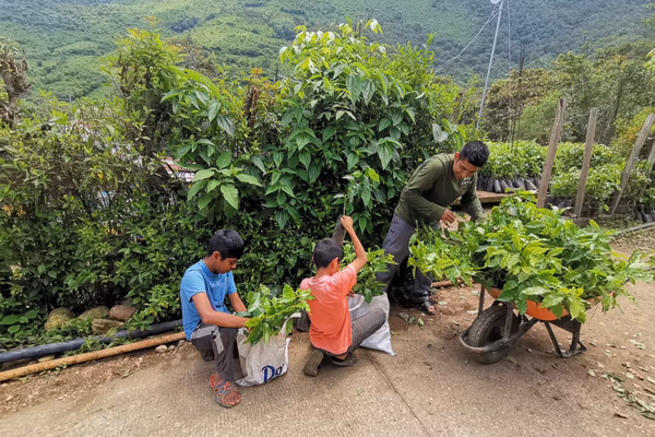 Santa Maria Ozolotepec community lot