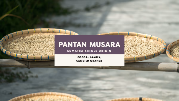 Pantan Musara Natural
