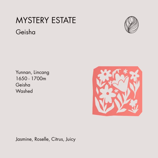 MYSTERY ESTATE • Yunnan Geisha Washed